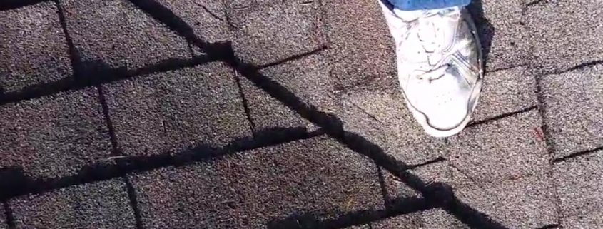 Roof inspection showing a foot on an asphalt shingle roof